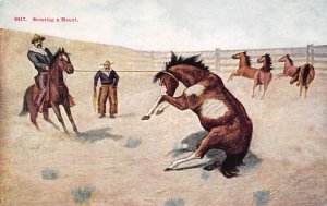 Securing a mount Cowboy Unused 