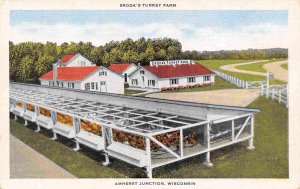 Sroda Turkey Farm US 10 Amherst Junction Wisconsin linen postcard