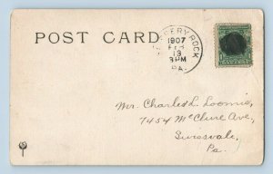 Roosevelt Bears at Home Anthropormphic UDB 1907 Slippery Rock PA Postmark