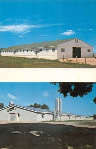 Kitson Farm Building Advertising Vintage Postcard AA46855