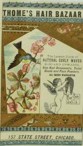 1880's Thome's Bazaar Human Hair Cherub Bird Victorian Trade Card P11