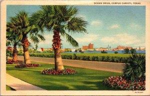 Ocean Drive Corpus Christi TX Postcard PC4