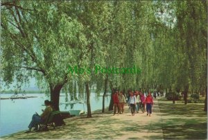 China Postcard - The West Lake, Park of Orioles Singing In The Willows RR11670