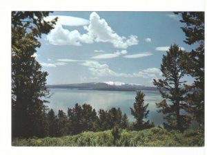 Yellowstone Lake, Yellowstone National Park, Wyoming, Chrome Postcard