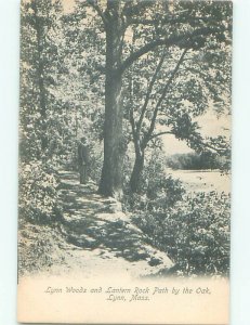 Pre-1907 NATURE SCENE Lynn Massachusetts MA AD8522