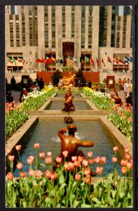 The Plaza,Rockefeller Center,New York,NY