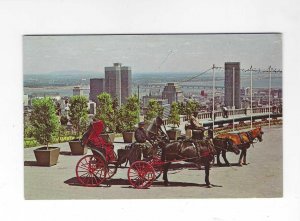 Vtg 1960's French Horsedrawn Carriages, Mount Royal, Montreal, Canada Po...