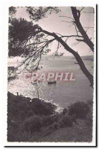 Corniche des Maures Postcard Modern Surroundings Lavandou