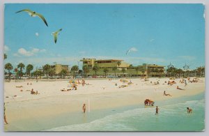 Clearwater Beach Florida~View From Big Pier 60 Showing Motels~Vintage Postcard