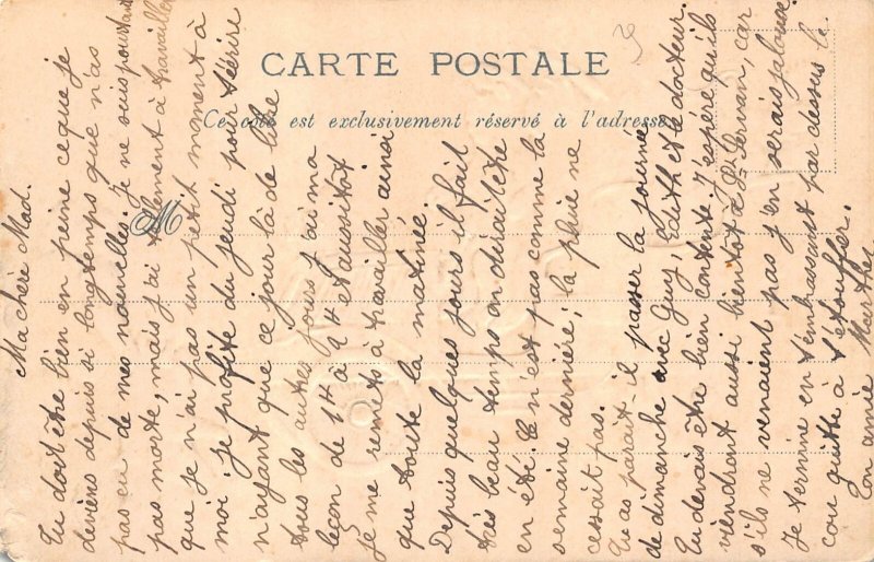 Anthropomorphic Humanized Cat driving Car L'Automobile Elegant Cat postc...