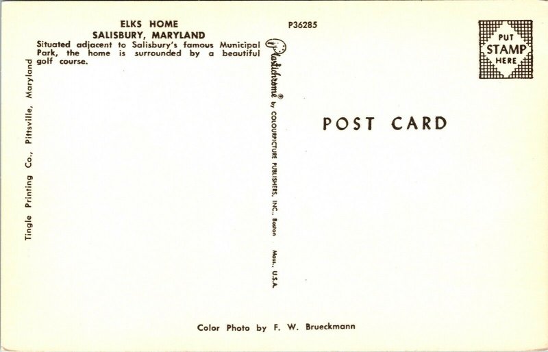 Elks Home Salisbury Maryland MD Postcard Plastichrome VTG UNP Vintage Unused 