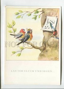 473527 1949 year Bert Switzerland dressed birds sing ladybug conductor postcard