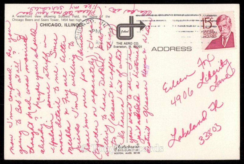 Soldiers Field and Sears Tower