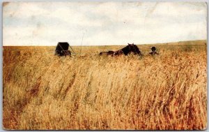 1913 One Thousand Acre Wheatfield Washington WA Posted Postcard