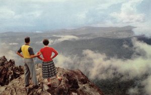 ABOVE THE CLOUDS Great Smoky Mountains Tennessee North Carolina 1950s Postcard