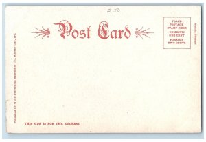 Kansas City Missouri Postcard Aerial View Of The Canyon City Park c1905s Cars