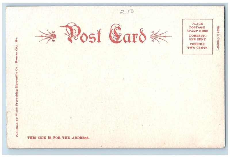 Kansas City Missouri Postcard Aerial View Of The Canyon City Park c1905s Cars