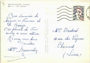 CPM Neuvic-d'Ussel - Vue Generale (1060251)