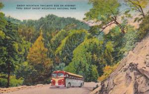 Smoky Mountains National Park Trailways Bus