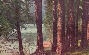 Vintage Postcard 1909 Yellow Pine on Spirit Lake. Summer Resort A Spokane WN