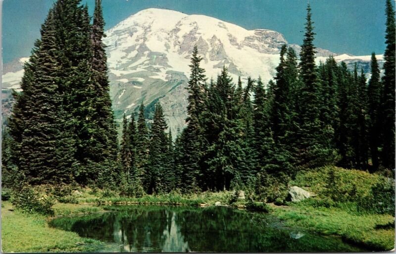 Mt Rainer Fairy Pool Washington WA Postcard UNP VTG Plastichrome Unused Vintage