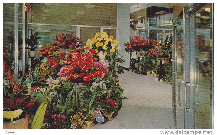 [BC] : ALOHA House of Flowers Ltd , Vancouver , B.C. , Canada,  50-60s