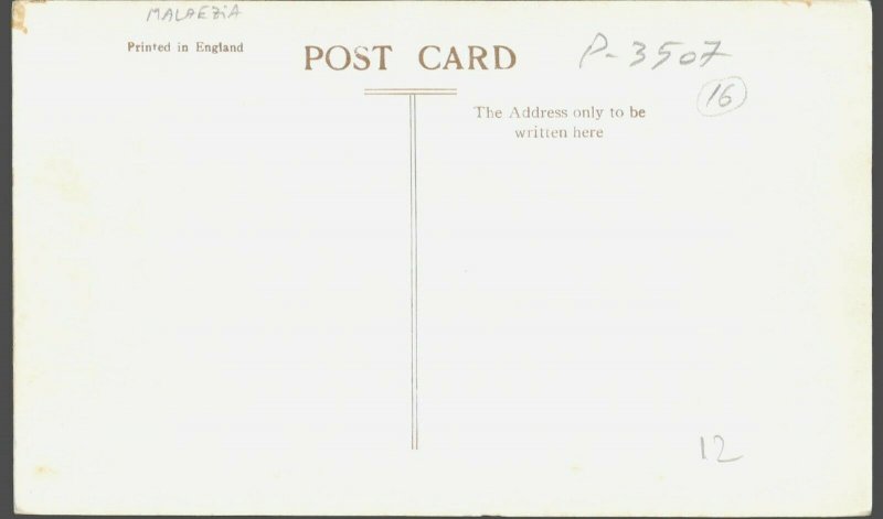 P3507 malaesia penang snake temple sungei kluang religion RPPC 9x14 cm