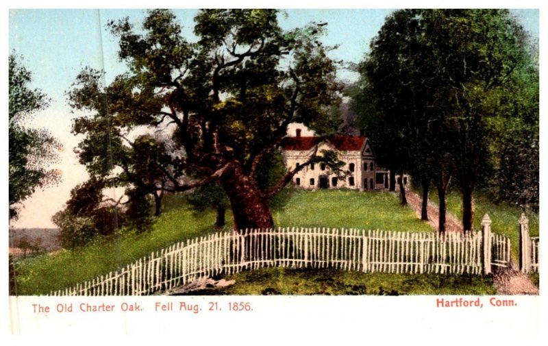 Connecticut   Hartford  , The Old Charter oak