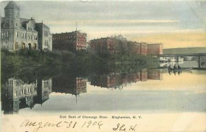 New York Binghampton East Bank Chenango River American 1906 Postcard 22-3506