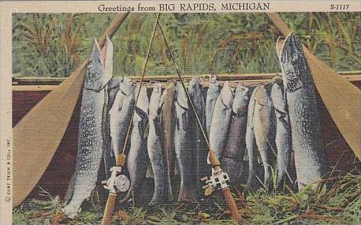 Michigan Big Rapids Gretings From A Days Catch Fishing