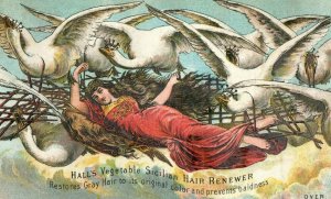 Hall's Vegetable Sicilian Hair renewer Elise & the Wildswans Lady Sky Swans W1