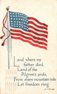 US Flag 1917 Land of Pilgrim's Pride Let Freedom Ring Patriotic Antique Postcard