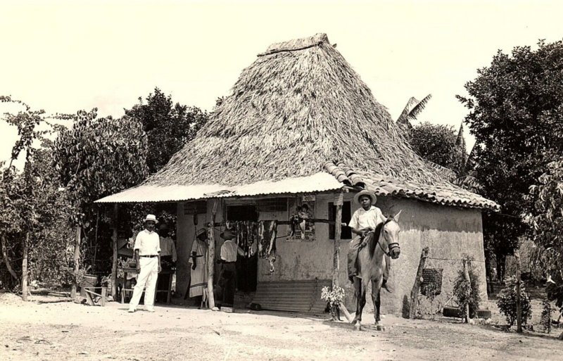 1920s PANAMA  THACH ROOF HUT  MERCHANT HIDES DRYING  RPPC POSTCARD P1649