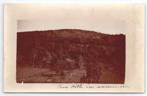 New Zealand Pine Hill In Summer RPPC Real Photo Postcard B31