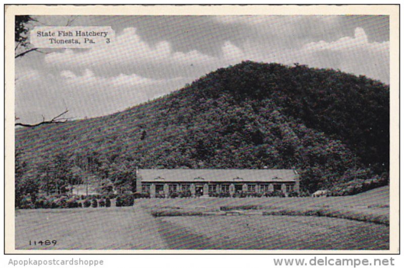 Pennsylvania Tionesta State Fish Hatchery Dexter Press