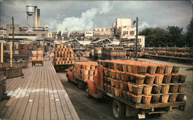 Leamington Ontario ON Heinz Co Canada Ltd Tomato Shipment Vintage PC