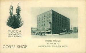Hotel Yucca - Raton, New Mexico NM Postcard
