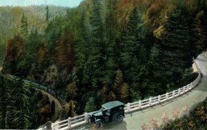 1920's Highway Car Train Redwoods Santa Cruz Mountains CA Vintage Postcard F24