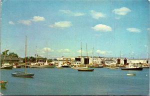Postcard MA Falmouth Cape Cod Harbor Sailboats 1950s S18