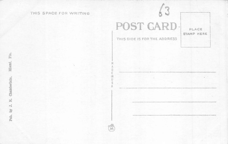 B029 US Picking Oranges Miami Florida Workers vintage postcard