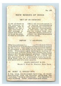 1900s Dwight's Soda New & Champion Dog Series Bobtail Sheep Dog Lot Of 5 P222