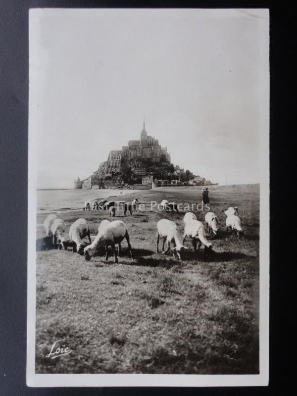 France NORMANDY Le Mont Saint Michel showing Sheep Old RP Postcard by Laurent