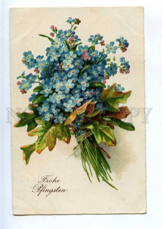 240565 Forget-me-not Vintage SPECIAL MARK Kraftpost postcard