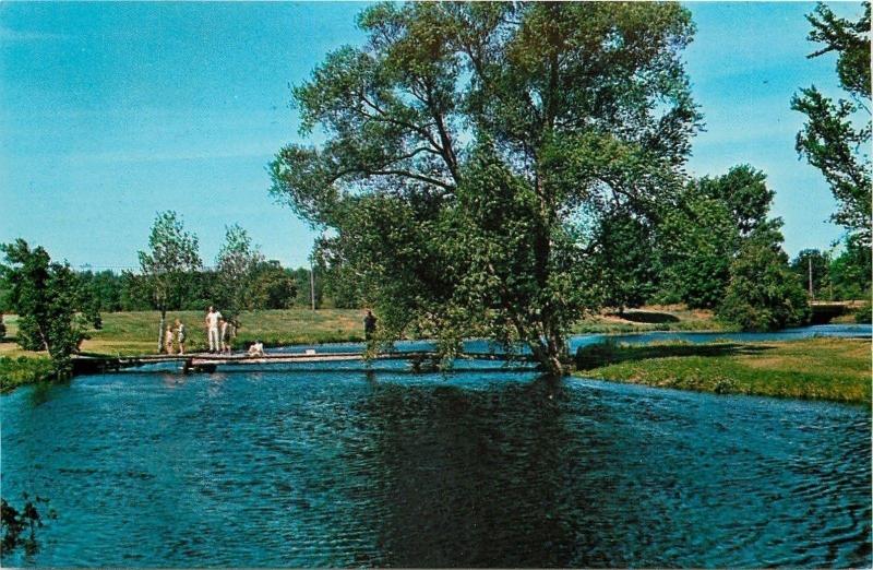 Grayling Michigan~Au Sable River~People Standing on Dock~Trees 1950s Postcard 