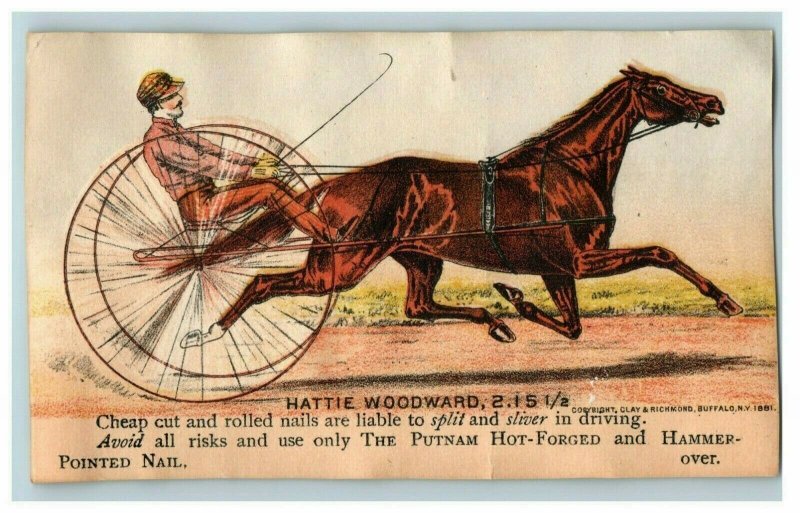 1881 Putnam Nail Hattie Woodward Sulky Harness Race Handsome Horse P195