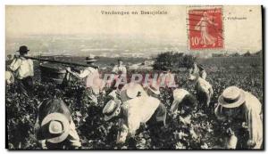 Old Postcard Wine Harvest in Beaujolais TOP