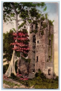 Old Panama Postcard Moss-Clad Old Cathedral that Dons Built c1920's Hand-Colored