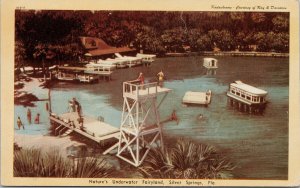 Silver Springs FL Nature's Underwater Fairyland Birdseye Unused Postcard E94