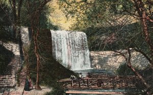 Vintage Postcard 1900's Waterfalls Forest View Scenic Picturesque Minneapolis MN