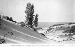 Warren Dunes State Park Dune Landscape - Berrien County, Michigan MI